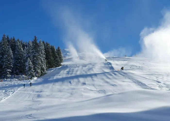 Daire Traumblick Fügen