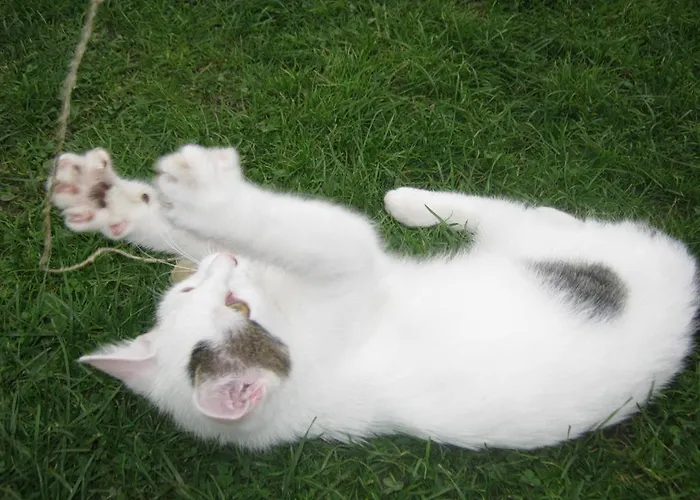 Traumblick Appartement Fügen